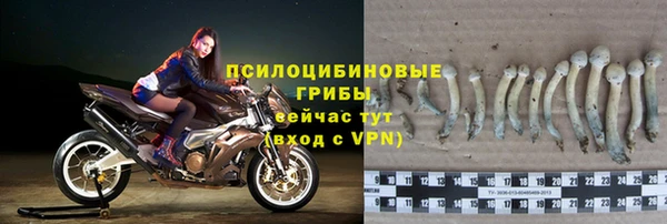 экстази Алексин