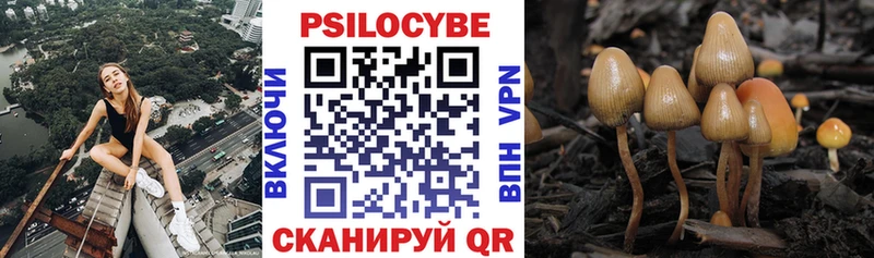 Галлюциногенные грибы мицелий  Березники 